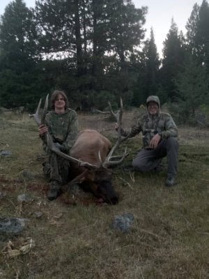 elk 409.jpg