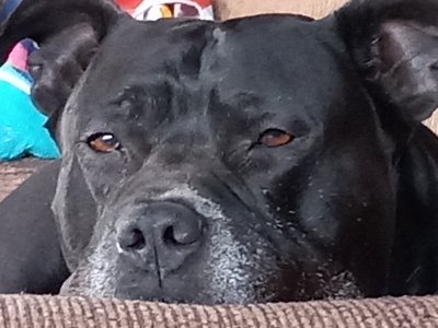 20220503_175414.jpg