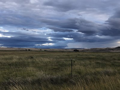 IMG_6519.JPG