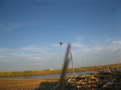 canada day 4 2011 016.JPG