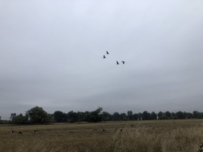 IMG_6637.JPG