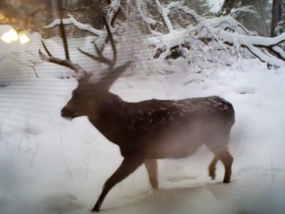 20191212_200205.jpg