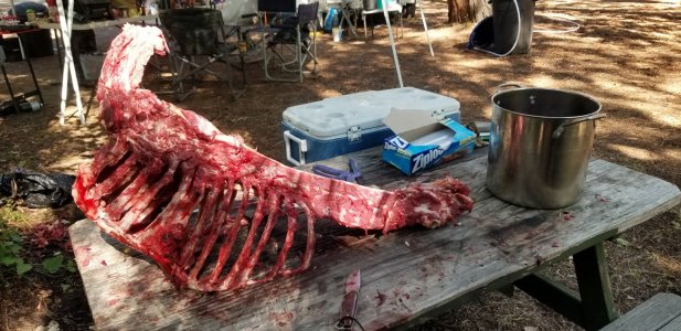 carcass.jpg