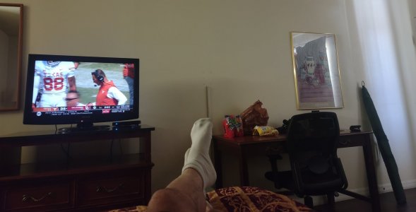 IMG_20221008_112800471.jpg