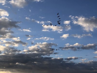 IMG_6913.JPG