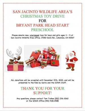 SJ Toy Drive Flyer 2022.jpg