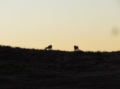 IMG_1359.JPG