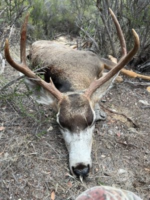 Shanes buck '22.JPEG