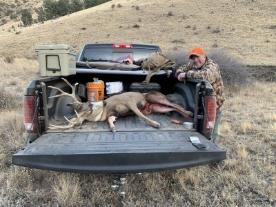 Truck Buck.jpg