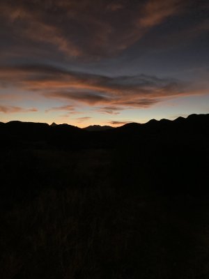 501C79E2-B973-4C24-BA3A-716FB07A3C2C.jpeg