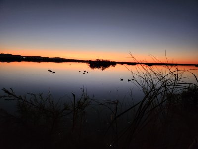 20221120_054323.jpg