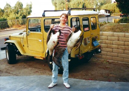 Cruiser_goose.jpg