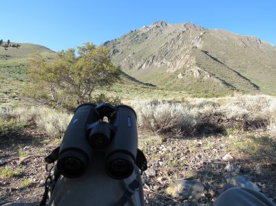 IMG_3790.JPG