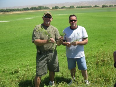 san j 6-18-11 058.JPG