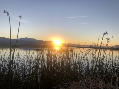 IMG_7988.JPG
