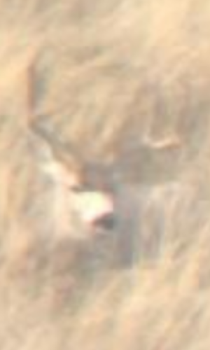 Screenshot_20221230-163309.png