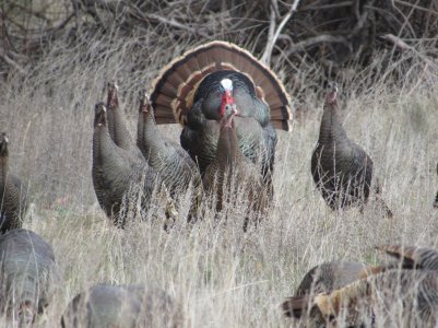 IMG_0608.JPG