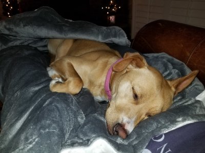 20221225_210437.jpg
