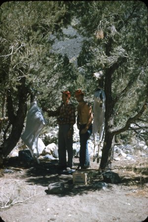 scan051.jpg