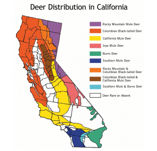 CA Deer Species Locations.PNG