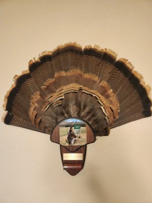 20230130_223736.jpg