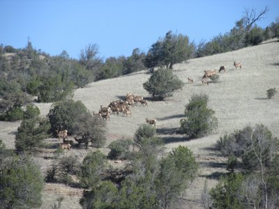 IMG_0931.JPG