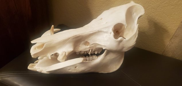 20230126_204916.jpg