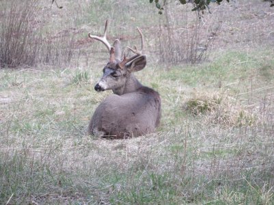 IMG_0232.JPG
