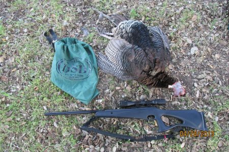 Tanner's turkey.....4-28-13 013.JPG