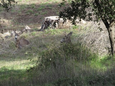 IMG_0256.JPG