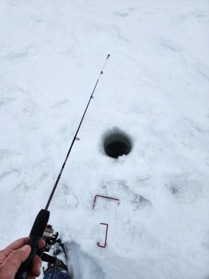 20230218_112928.jpg