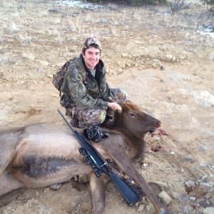 NM ELK.jpg