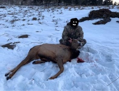 elk.jpg