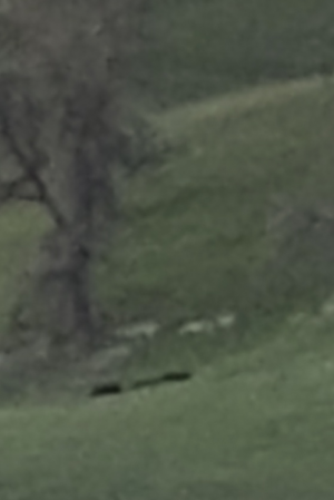 Screenshot_20230401-192334.png