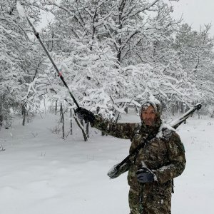 AZ ELK Late.jpg
