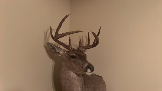 IMG_2179.jpeg