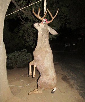 Bucks & Wister 10-31-12 104.JPG