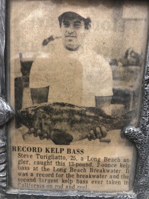 calico 1975 record.JPG
