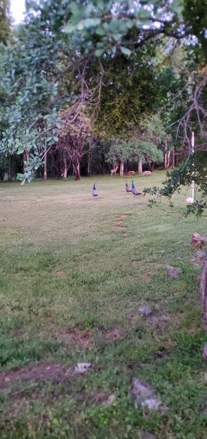 20230513_202307.jpg