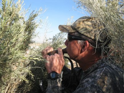 ww & wister 1-18-12 072.JPG