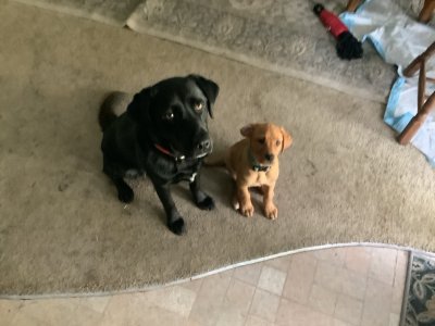 IMG_0324.jpeg