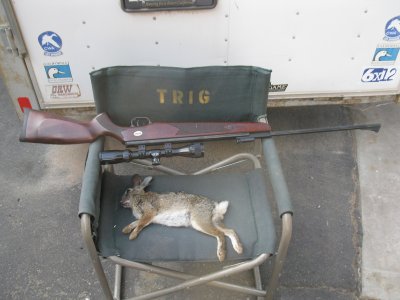 rabbit dinner 7-11-12 003.JPG