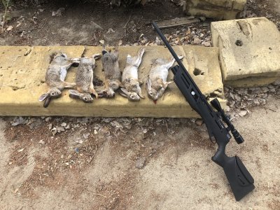 Rabbit opener 2021 3.JPG