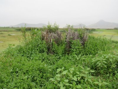 IMG_0160 - Copy.JPG