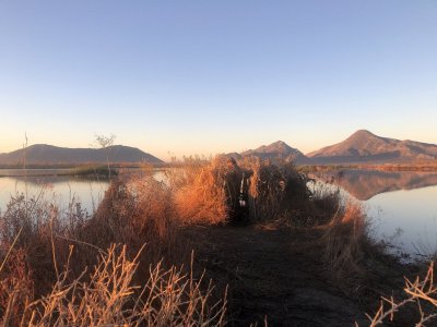 IMG_7990.JPG