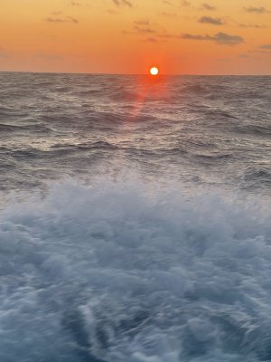 IMG_7603.jpeg