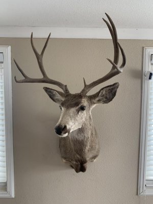 IMG_3680.jpeg