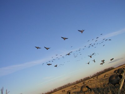 P1010005.JPG