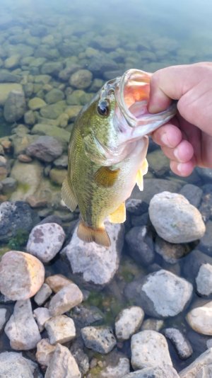 IMG_20230708_064044_HDR.jpg