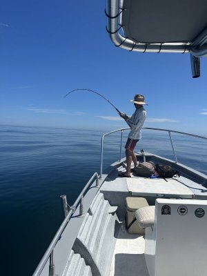 IMG_0786.jpeg